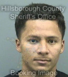 Diaz Odani - Hillsborough County, Florida 