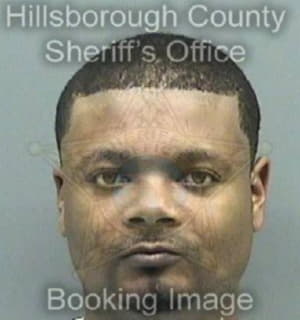 Anderson Reginald - Hillsborough County, Florida 