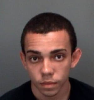 Mcgruder David - Pinellas County, Florida 