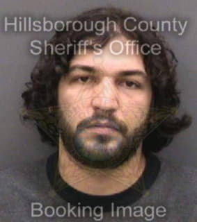 Ford Timothy - Hillsborough County, Florida 