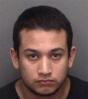 Hernandez Victor - Pinellas County, Florida 