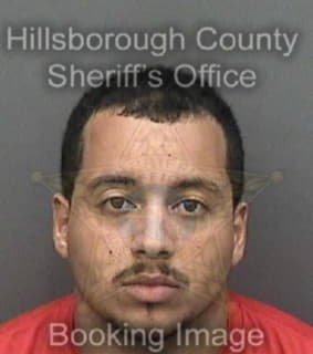 Lopez Adam - Hillsborough County, Florida 