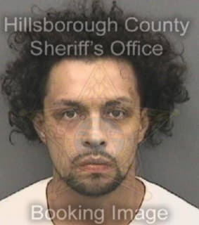 Rivera David - Hillsborough County, Florida 