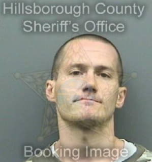 Mclean Michael - Hillsborough County, Florida 