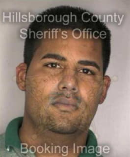 Rodriguez Armando - Hillsborough County, Florida 