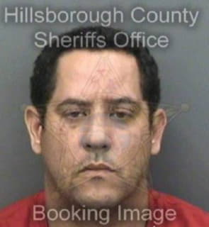 Delgado Jaime - Hillsborough County, Florida 