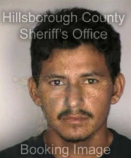 Viera Santos - Hillsborough County, Florida 