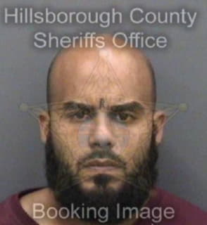 Martinez Reinaldo - Hillsborough County, Florida 