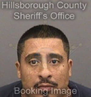 Romero Bryan - Hillsborough County, Florida 