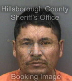 Hernandez Carlos - Hillsborough County, Florida 