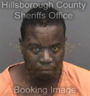 Everett Gregory - Hillsborough County, Florida 