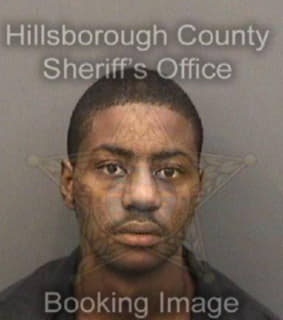 Dejesus Jason - Hillsborough County, Florida 