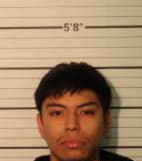 Garcia Luis - Shelby County, Tennessee 
