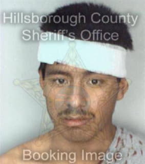 Bautistagarcia Andres - Hillsborough County, Florida 