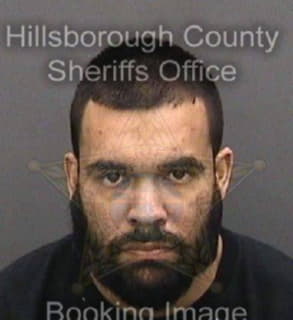 Rodriguez Christopher - Hillsborough County, Florida 