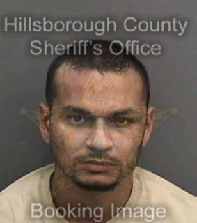 Linares Pedro - Hillsborough County, Florida 