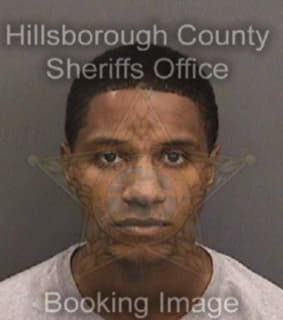 Ortiz Ramon - Hillsborough County, Florida 