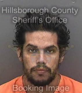 Alarco Randy - Hillsborough County, Florida 