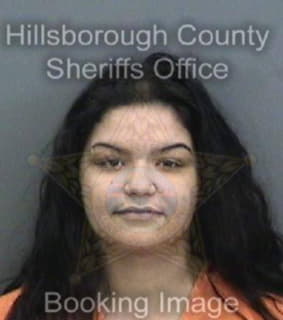 Rodriguez Ailed - Hillsborough County, Florida 