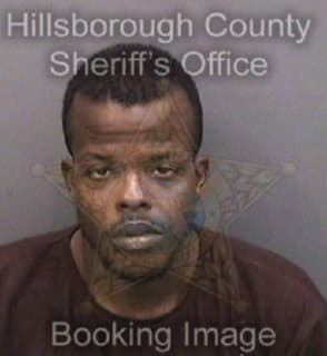 Mitchell Larry - Hillsborough County, Florida 