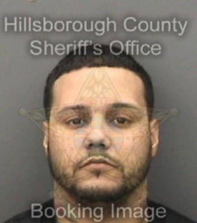 Ortiz Manuel - Hillsborough County, Florida 