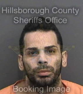 Ruiz Manuel - Hillsborough County, Florida 