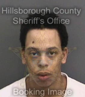 Davis Christopher - Hillsborough County, Florida 