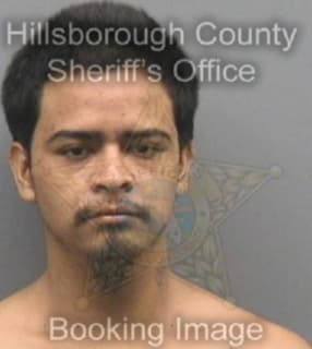 Rodriguez Francisco - Hillsborough County, Florida 