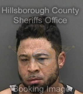 Romero Juan - Hillsborough County, Florida 