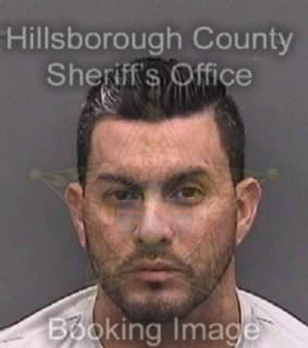 Negron Miguel - Hillsborough County, Florida 