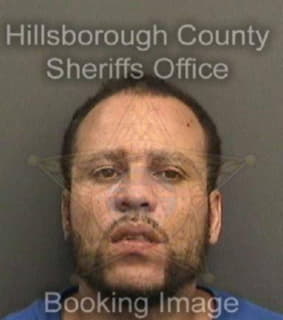 Rodriguez Roberto - Hillsborough County, Florida 