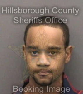 Johnson James - Hillsborough County, Florida 