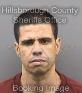 Ramos Luis - Hillsborough County, Florida 