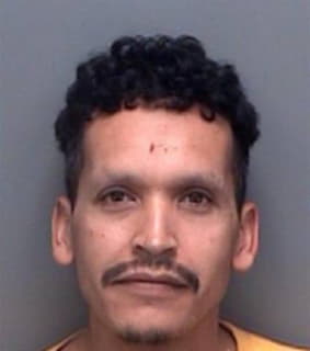 Rendon Miguel - Pinellas County, Florida 