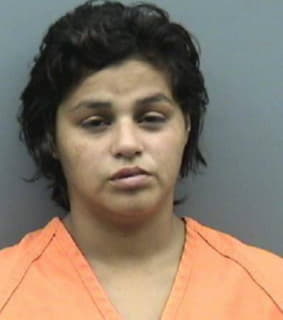 Robles Christina - Hillsborough County, Florida 