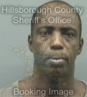 Patterson Frank - Hillsborough County, Florida 