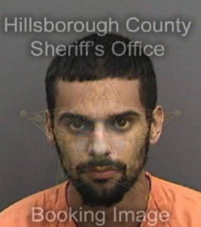 Berrios Luis - Hillsborough County, Florida 