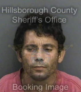 Rodriguez Ricardo - Hillsborough County, Florida 