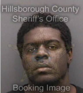 Rivero Jose - Hillsborough County, Florida 