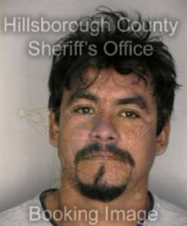 Robles Ramon - Hillsborough County, Florida 