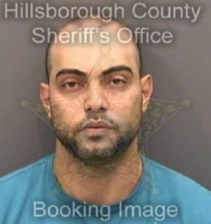 Deoliveira Wanderley - Hillsborough County, Florida 