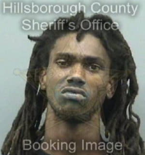 Mitchell Darius - Hillsborough County, Florida 