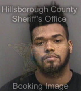 Andrades Miguel - Hillsborough County, Florida 