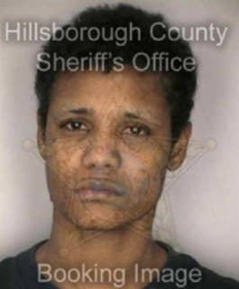 Scott Carol - Hillsborough County, Florida 
