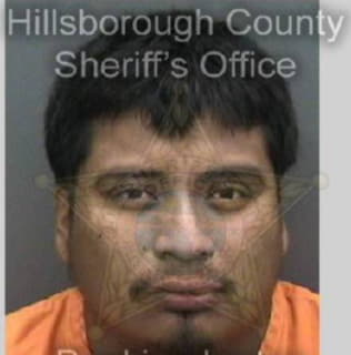 Perezhernandez Clemente - Hillsborough County, Florida 