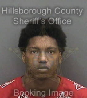 Berrien Jayquan - Hillsborough County, Florida 