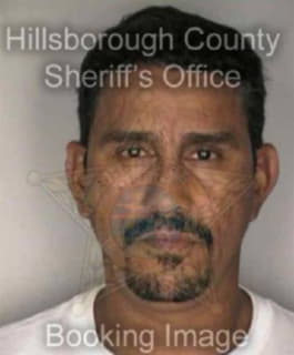 Ledesma Juan - Hillsborough County, Florida 