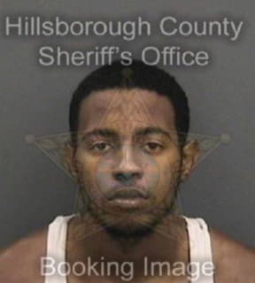 Williams Dandre - Hillsborough County, Florida 