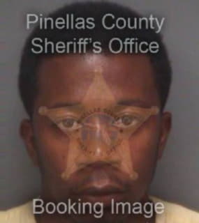 Wilson Khayree - Pinellas County, Florida 