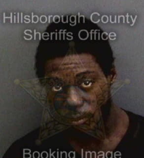 Jasper Michael - Hillsborough County, Florida 